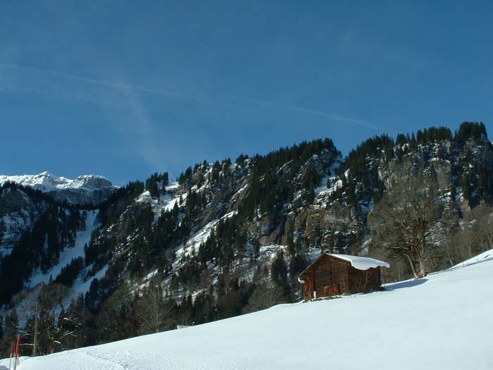 braunwald-mountain-cabin2.jpg, 12/29/2003, 61 kB