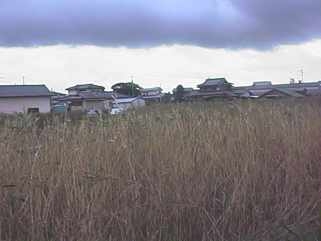 houses on the outskirts.jpg, 57365 bytes, 10/3/1999