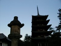 nara - pagoda.JPG