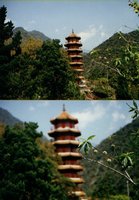 tg - two shots of pagoda.jpg
