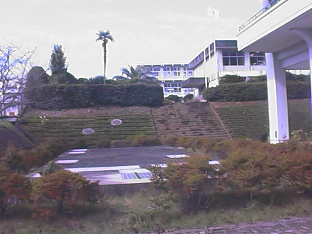 Taku grounds.jpg, 57564 bytes, 10/9/1999