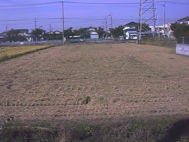 the field across from the apatos before it burns.jpg, 67475 bytes, 10/15/1999