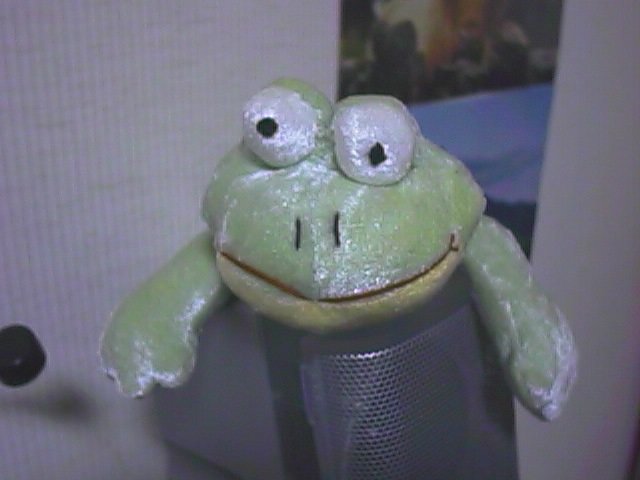 bean frog on a speaker.jpg, 34277 bytes, 1999/09/21