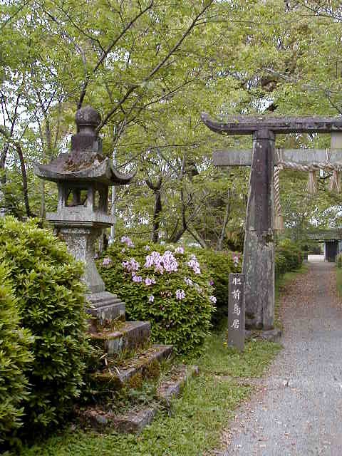 torii and lantern.JPG, 103682 bytes, 2000/04/25