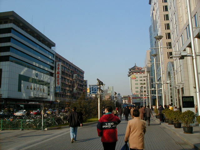 11-Nov-16-340.JPG, 1/1/1998, 57 kB