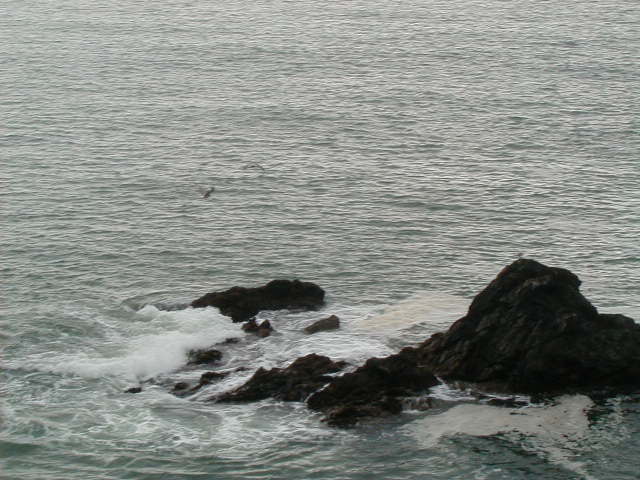 oct13 near carnivan bay 3.JPG, 61082 bytes, 10/13/2001