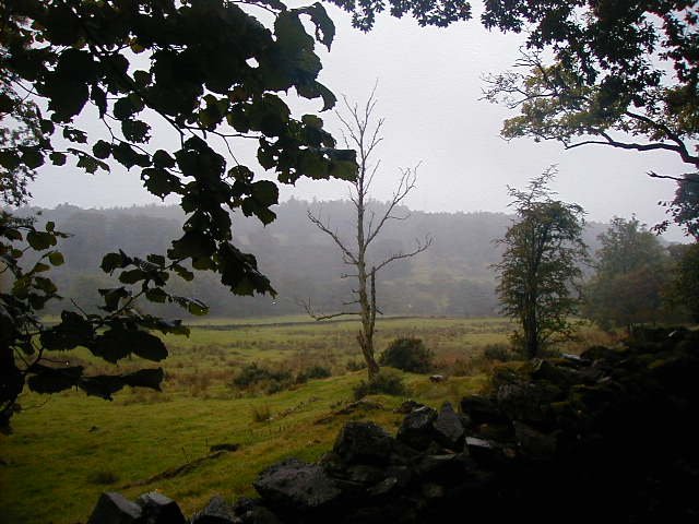 12 sept walk.JPG, 61757 bytes, 9/12/2001