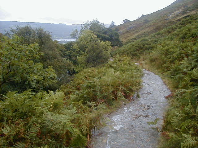 13sept climb 4.JPG, 63347 bytes, 9/13/2001