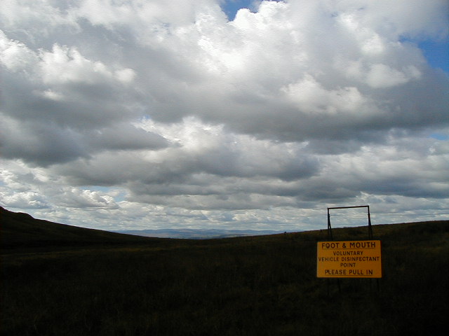 8septj.jpg, 56269 bytes, 9/8/2001