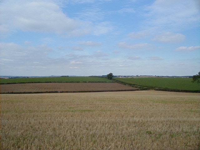 b4ld field.JPG, 63940 bytes, 8/2/2001