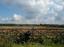 29aug - heading out.jpg