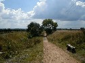 29aug - the road less travelled.jpg