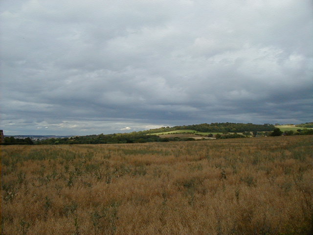 long day field.JPG, 62263 bytes, 9/2/2001