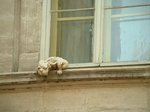 window.jpg