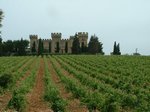 wine2.jpg