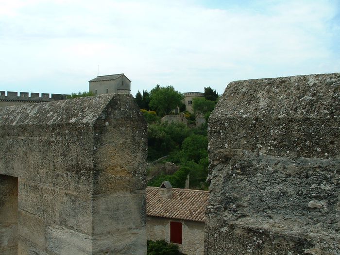 fortvillagewalls.jpg, 6/1/2004, 93 kB