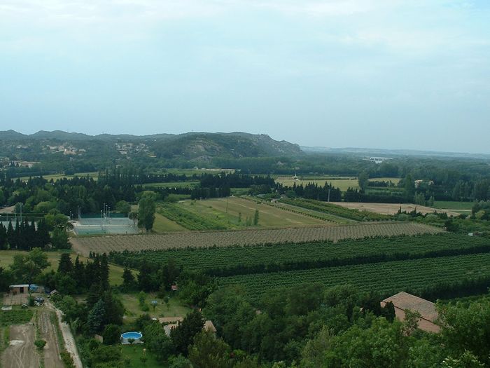 newvilleburb1.jpg, 6/1/2004, 70 kB