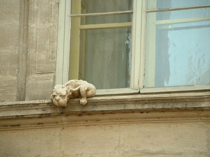 window.jpg, 6/1/2004, 74 kB