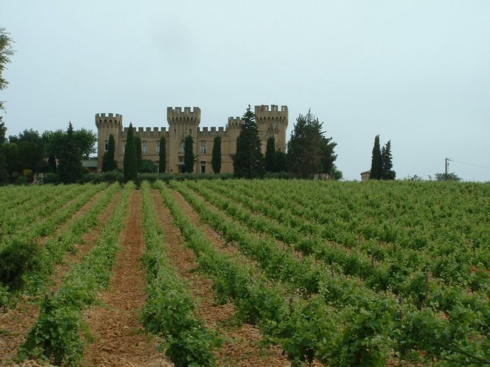 wine2.jpg, 6/1/2004, 87 kB