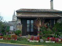 h_stemilion (14).JPG