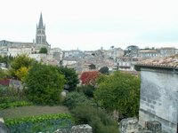 h_stemilion (15).JPG