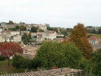 h_stemilion (18).JPG