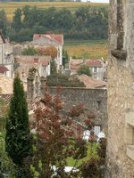 h_stemilion (19).JPG