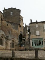 h_stemilion (2).JPG