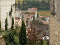 h_stemilion (20).JPG