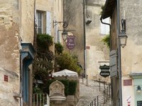 h_stemilion (3).JPG