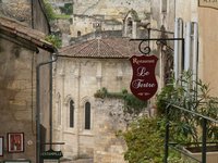 h_stemilion (5).JPG