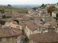 h_stemilion (8).JPG
