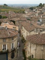 h_stemilion (9).JPG