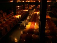 q_wine_tour (2).JPG