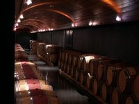 q_wine_tour (4).JPG