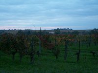 q_wine_tour (6).JPG