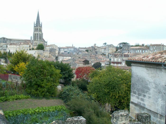 h_stemilion (15).JPG, 11/19/2004, 130 kB