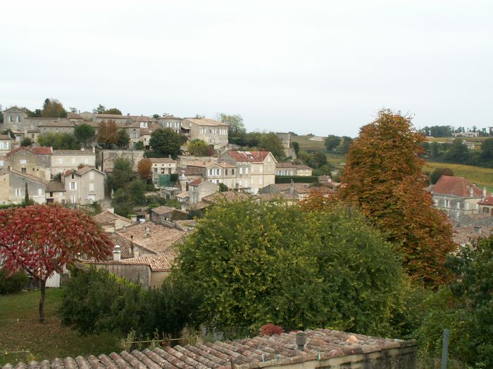 h_stemilion (18).JPG, 11/19/2004, 138 kB