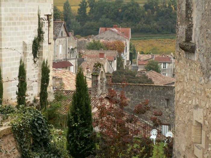 h_stemilion (20).JPG, 11/19/2004, 162 kB
