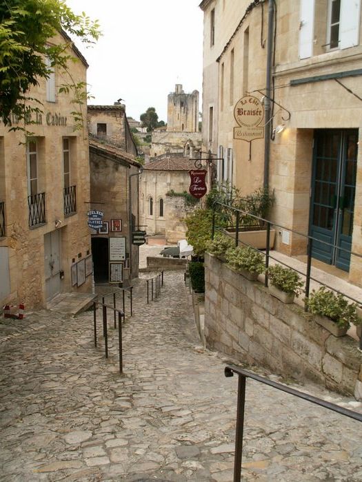 h_stemilion (4).JPG, 11/19/2004, 125 kB
