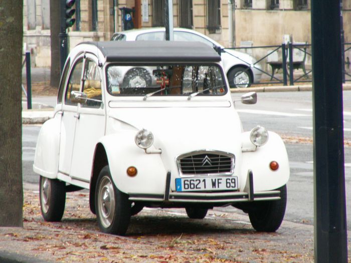 m_bordeaux_again.jpg, 11/19/2004, 129 kB