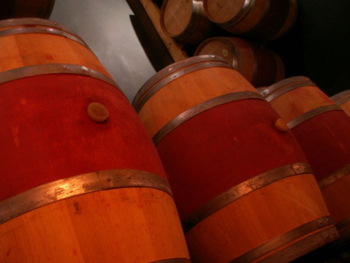 q_wine_tour (5).JPG, 11/19/2004, 98 kB