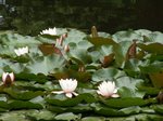 tn_PICT0454.JPG