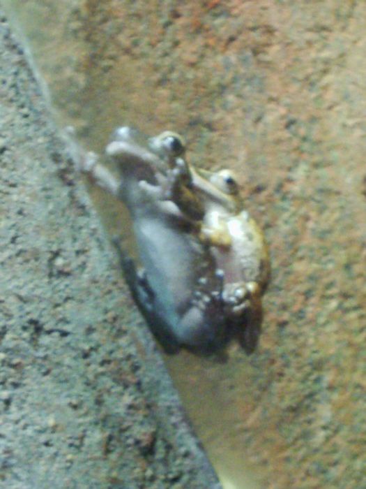 tn_S2010048.JPG, 7/30/2004, 59 kB