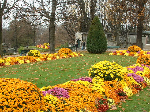 flowerdisplay.jpg, 11/15/2003, 132 kB