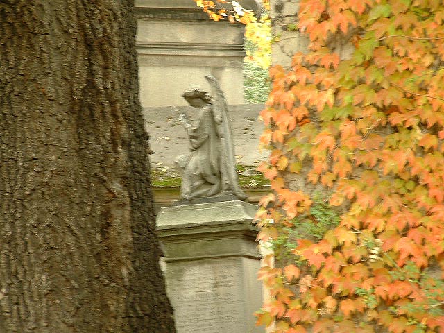 grave39.jpg, 11/17/2003, 105 kB