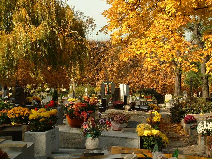 grave61.jpg, 11/17/2003, 129 kB