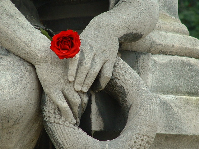 holdingrose.jpg, 11/15/2003, 125 kB