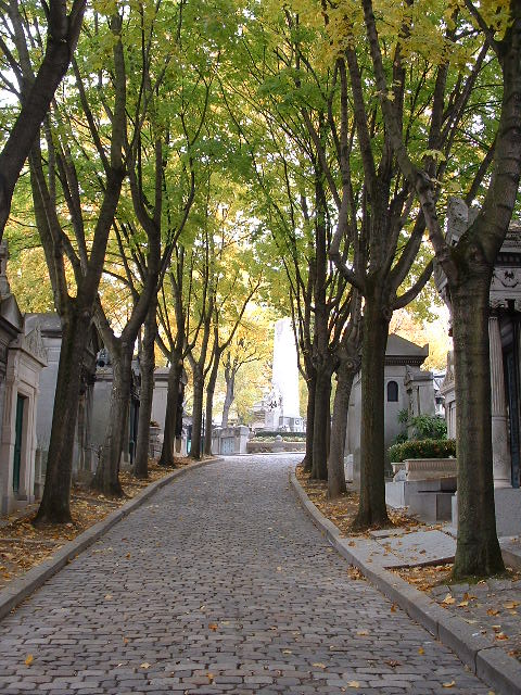 path1.jpg, 10/27/2003, 127 kB