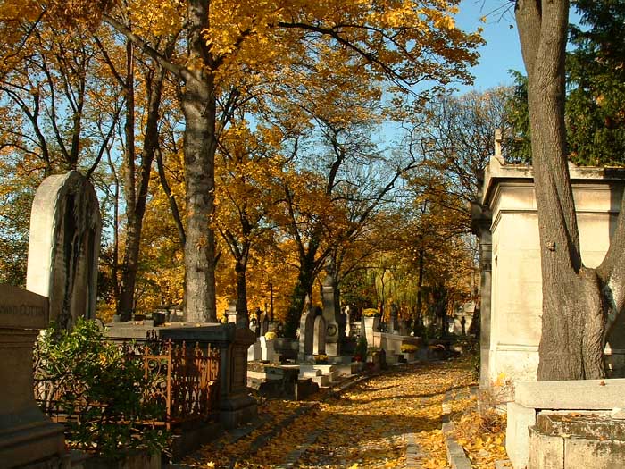 path22.jpg, 11/17/2003, 134 kB